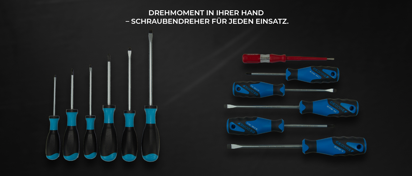 Schraubendreher